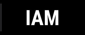 logo-IAMok